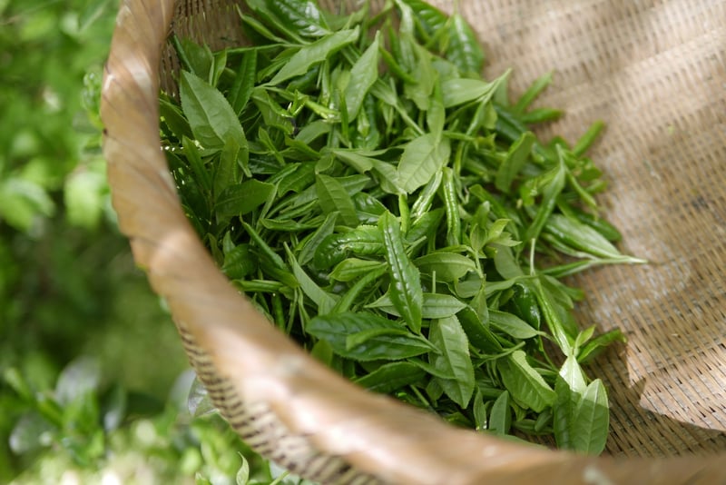 Herbal Wreaths